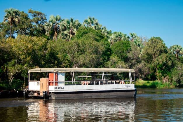 Cruise with Palm Trees