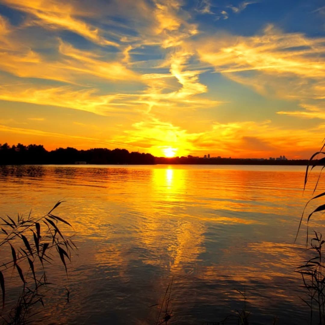 Affordable Cruise On The Zambezi River