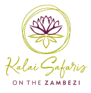 kalai safari Logo